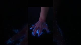 amazing bioluminescence effect #scienceexperiment #shorts