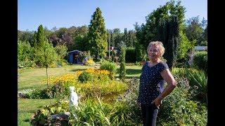 Wohlfühlgarten mit Gemüseecke