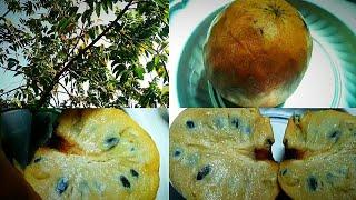 How To Eat Fruit | Ramphal Fruit | #ramphal Annona Reticulata | Cherimola | wild sweetsop | soursop|