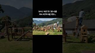 귀농귀촌하면 제발 길고양이와 눈 마주치지마세요!!   #길고양이#길냥이#고양이집#고양이켓타워