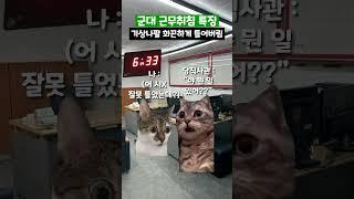 군대 근무취침 특징 #shorts #군대