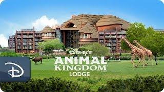 Disney’s Animal Kingdom Lodge | Walt Disney World