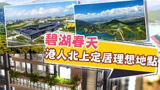 東張西望｜碧湖春天港人北上定居的理想地點