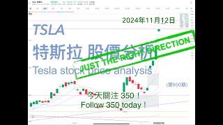 Analysis of TSLA Tesla stock price trend November 12, 2024 (Issue 800)