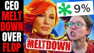 Borderlands DISASTER Makes Gearbox CEO MELTDOWN On Social Media! | He HATES That It's FLOPPING