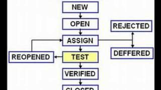 Software Testing: Bug Life Cycle