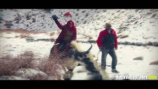 Yak Safari In Gojal, Hunza, Pakistan || Rock Valley Tours PVT.LTD Pakistan