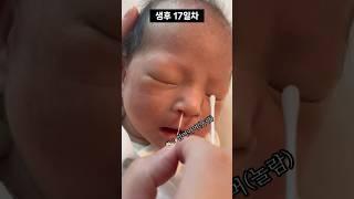 [320만뷰] 신생아 아기 코딱지 빼주기  | Getting rid of a newborn baby's booger