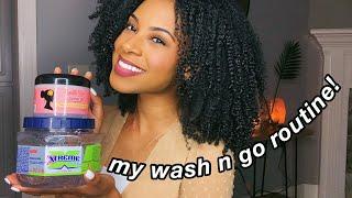 WASH N GO ROUTINE on natural hair| DEFINITION and VOLUME