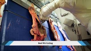 Red Meat Processing Technologies - SCOTT