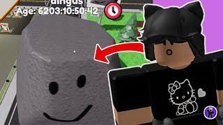 I spent another $50 on this game! [Roblox My Pet Rock]