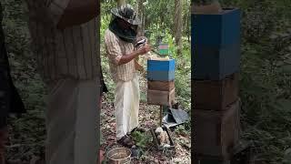 viswas natural honey mob-9495029239, kerala. #kerala #honey #forest #foresthoney #keralaforest