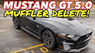 2019 Ford Mustang GT 5.0L COYOTE DUAL EXHAUST w/ MUFFLER DELETE!