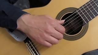 The Boxer arranged for the classical guitar by David Jaggs.