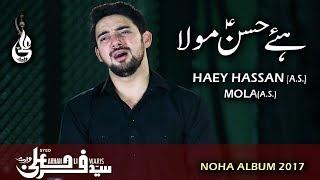 Farhan Ali Waris | Hay Hassan Mola | Noha | 2017