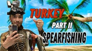 Spearfishing in the Mediterranean sea  TÜRKIYE