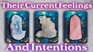 Their Current Feelings and Intentions 🩷 {PICK A CARD} ️ Timeless Tarot Reading