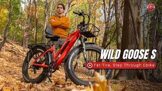 Wildgoose S | Fat-Tire Ebike