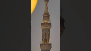 masjid nabawi short video #allah #muhammad #quran #shorts #madina #beautiful #trending #love #urdu