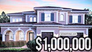 $1 MILLION DOLLAR NEW CONSTRUCTION DREAM HOME IN TAMPA YOU MUST SEE!