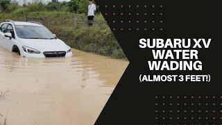 You won't believe it!! Subaru XV/Crosstrek wading through almost 3 feet of water!