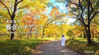 東京散歩 都内おすすめ紅葉スポット 秋の皇居東御苑 | 大人の休日