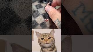 Hess haircut #cat #memes #funny #trending