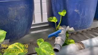 Bộ lọc dành cho hồ cá koi 2 năm không đụng chạm đến