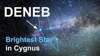 Deneb: Brightest Star in Cygnus the Swan Constellation