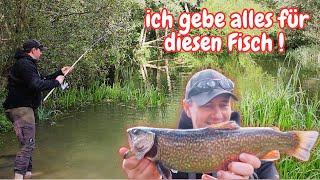 Trout fishing with float Salmon trout Fishing at the trout lake Rubber bait Powerbait Tiger trout