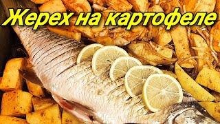 Жерех на картофельной подушке.