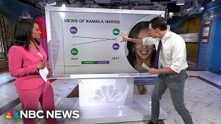 Steve Kornacki: Newly popular Harris builds momentum, challenging Trump for the mantle of change