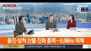 [연합뉴스TV] 강원서 대형 산불...대책은 무엇인가. 이송규 안전전문가 출연