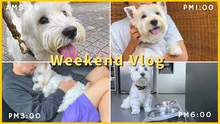 【週末VLOG】愛犬うーちゃんの、とある１日を撮影してみました！