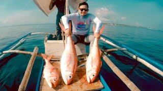 3 big Ruby Snappers on a single boat | Double Strike | Jigging | Cebu Philippines | BiRRA