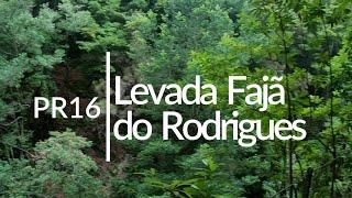 Madeira hikes: Levada Fajã do Rodrigues (PR16)