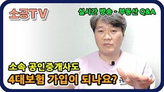 소속공인중개사 4대보험 가능한가요? : 중개업 Q&A - 소속공인중개사 전문채널 : 소공TV