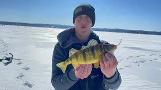 Ice Fishing for Pike and Perch // Northern Michigan (Tip Up/Spearing)