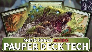 Mono Green AGGRO┃Pauper Deck Proposal