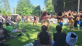 St. Louis African Arts Festival 2024