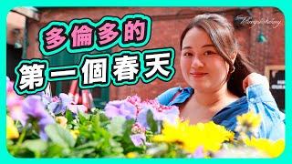 VLOG移民加拿大｜多倫多的第一個春天｜FLOWERS MARKET｜AGO