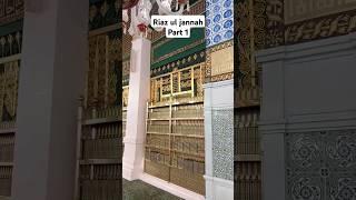 Riaz ul Jannah | ماشاءالله تبارك الرحمن | Part 1 | #shanarainakbar #madina #riyazuljannah #shorts