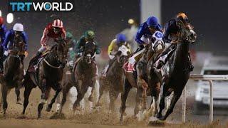 UAE's prestigious horse race back after pandemic hiatus | Money Talks