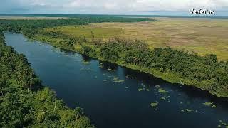 Delta del Orinoco, estado Delta Amacuro