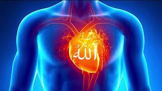 Dzikir Allah | High Meditation | soul healing zikr | zikr | Allah Allah | ذكر | ذكر الله