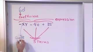 Algebraic Expressions, Terms, and Coefficients