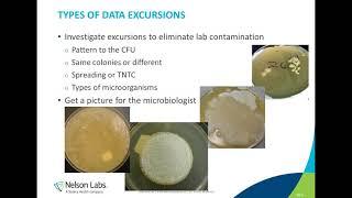 Microbiological Control in a Pharmaceutical Manufacturing Environment