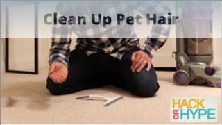 Hack or Hype: How to Clean Pet Hair from Carpet