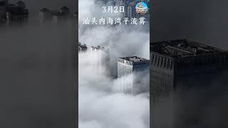 汕頭平流霧 | 迷霧中的潮汕城市景觀 | Shantou Advection Fog: The Enchanting Cityscape in the Mist