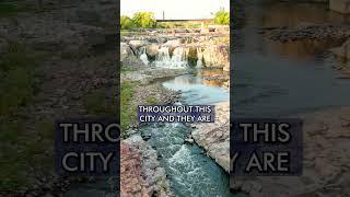 Sioux Falls is a nature lover's paradise! Discover why!️